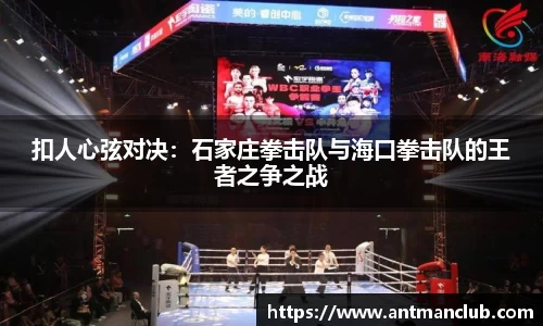 扣人心弦对决：石家庄拳击队与海口拳击队的王者之争之战