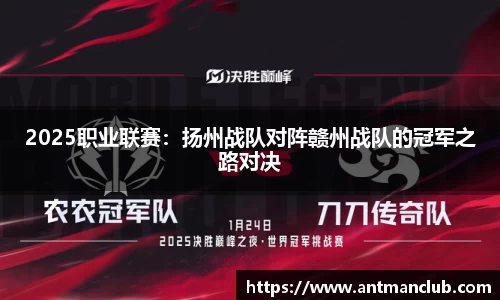 2025职业联赛：扬州战队对阵赣州战队的冠军之路对决